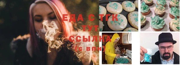 индика Гусев