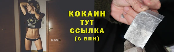 винт Горно-Алтайск