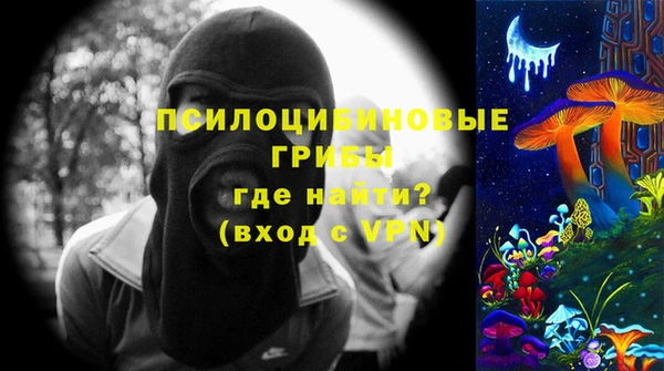 гидропоника Горнозаводск