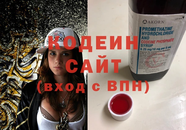 индика Гусев