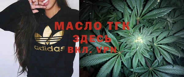 гидропоника Горнозаводск