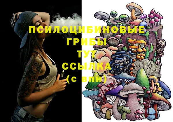 индика Гусев