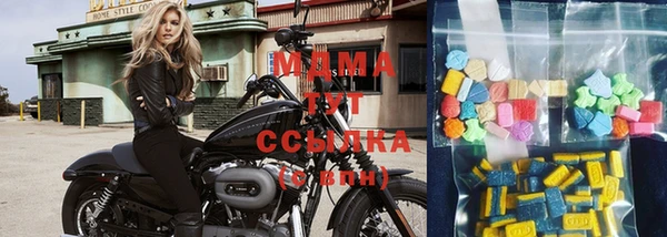 индика Гусев