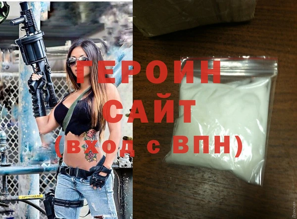 индика Гусев