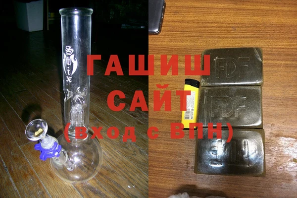 индика Гусев