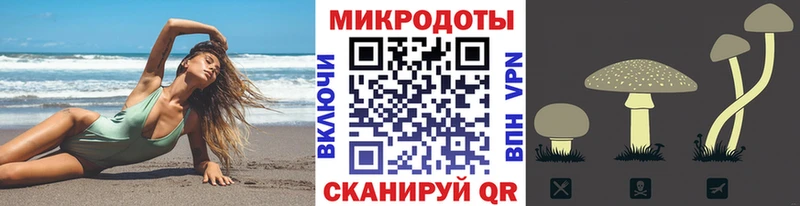 Галлюциногенные грибы Psilocybine cubensis  blacksprut сайт  Сургут 